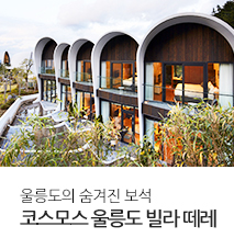 [기획전] 국내 울릉도 빌라떼레