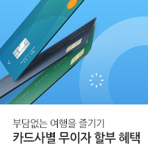 [혜택] 카드사별 무이자 할부 기획전